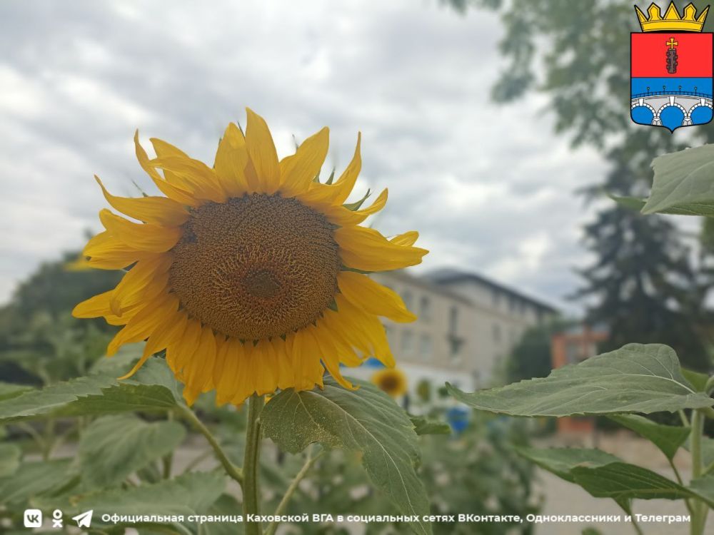 ������ ����, �������!. @VGA_Kakhovka