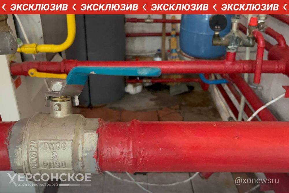 ����� 30% ��������� ���������� ������� ��� ����������� � ����