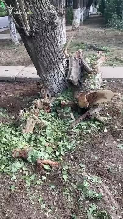 #��������. ���������� ������ ����� ��������� ����������� �������� �� �������, ��� ������� �����������. ����� ���� ���� �...