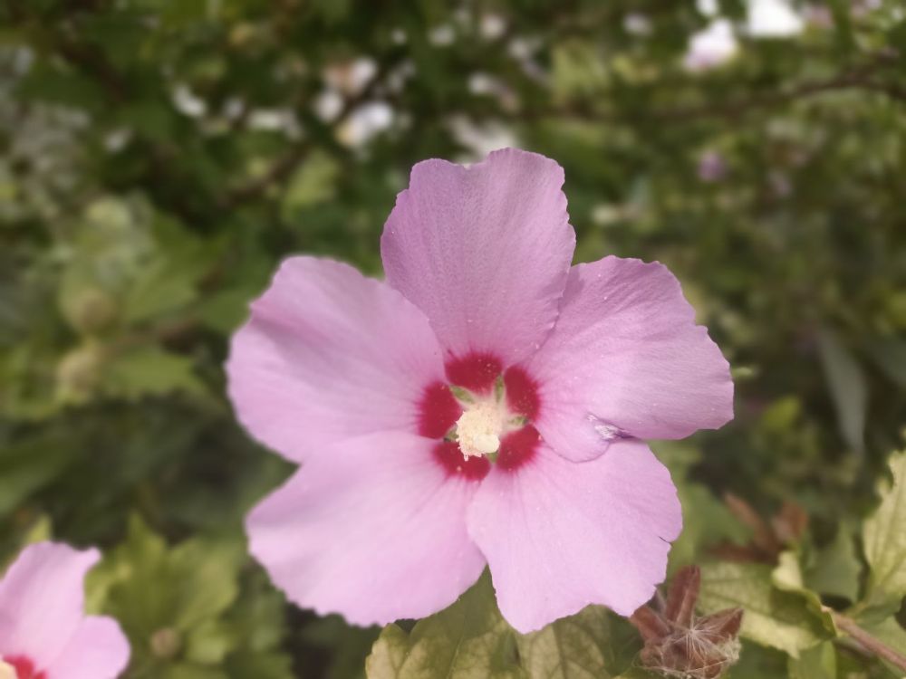 � ������ �����, �����������!