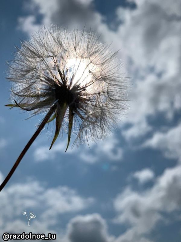 ������ ����! ����������!. ���������� � ����- ����� ������� ����, ������� ���������� � ���� ���������!