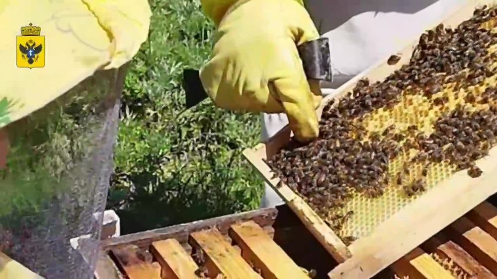 ������������ ������������ ��������� ��������� � ����������� ���������� ������� � ������� ������