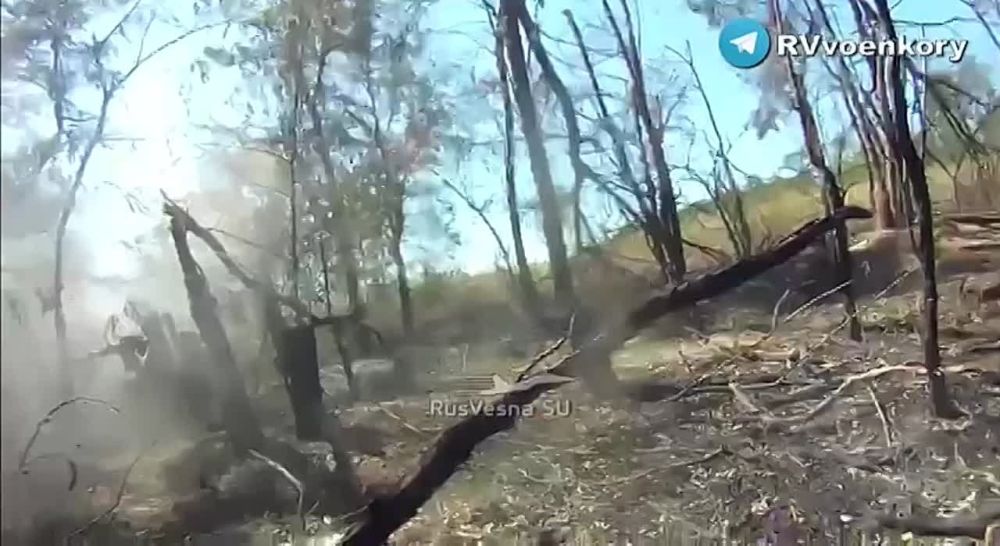 �������� �����: ���������� ����������� ������������ ������ - ����� ������ ����� ������