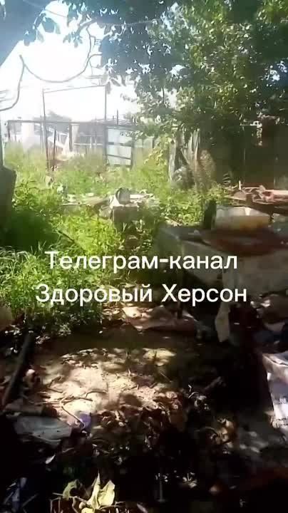 ���� �������� ����� ���������� ��������� ���������� ������ �������� �������� ��������