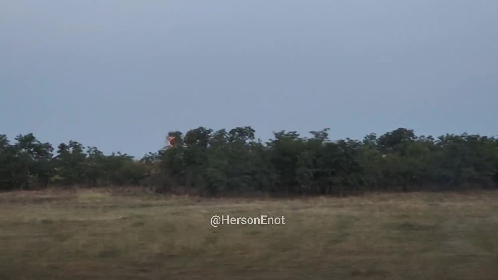 ���� �� �������: ���� ��� ���� ���� �� ���� � ����� �� ��������� (�� ����� ���� �������) �������������� �������