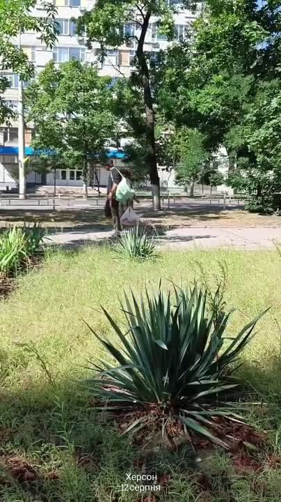 ����� �� ������� �������. 12 ������� 2023 ����