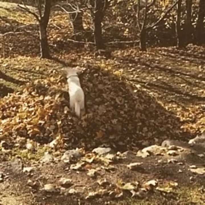 ������ ����!. ��������� � ����� ������ � �������� ���������� � ������ ���������� ����� ������������ ������ ����������� ��...