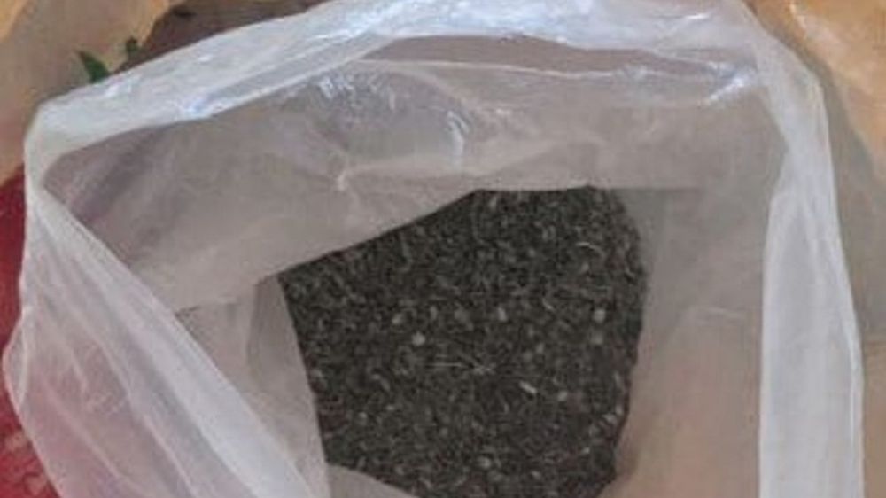 ��� ������ ���������� ������� ��������� ���� ����� ������ �������