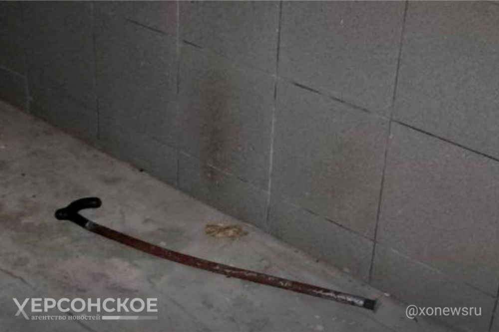 � ���������� ������ ������ ���� ����� ����� ������������� �������