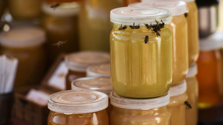 ���� ������ � �������� �����: ��������� ��� �� ���������� ����������