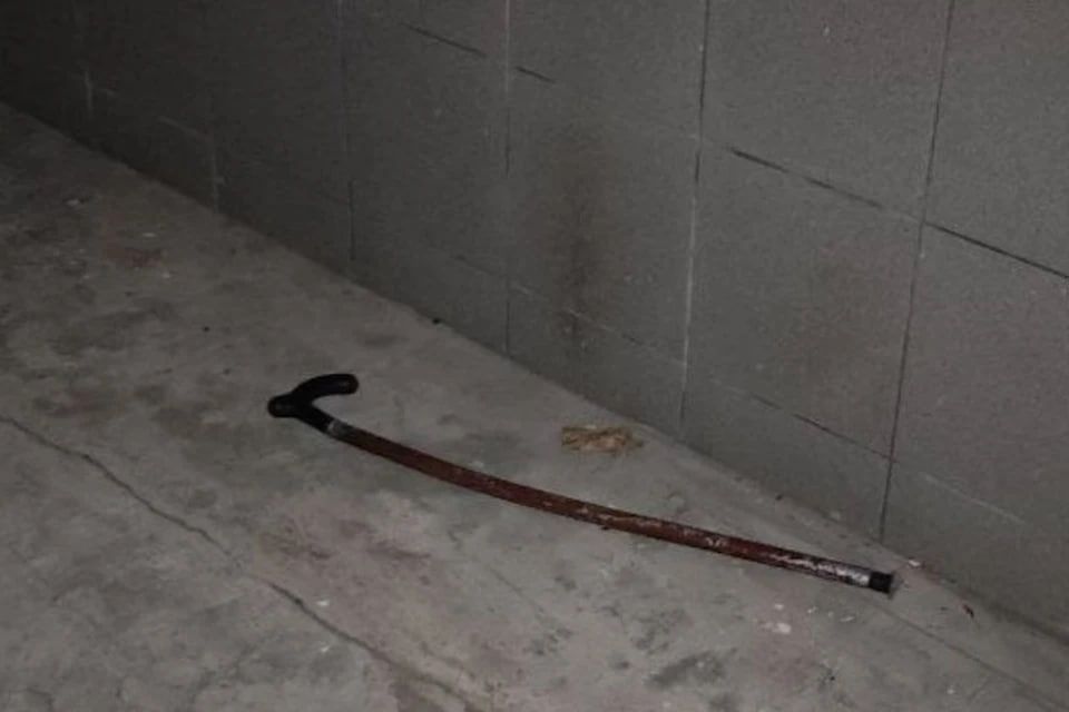 ������ ����������� ������ �� ���������� ����� 66-������� �����