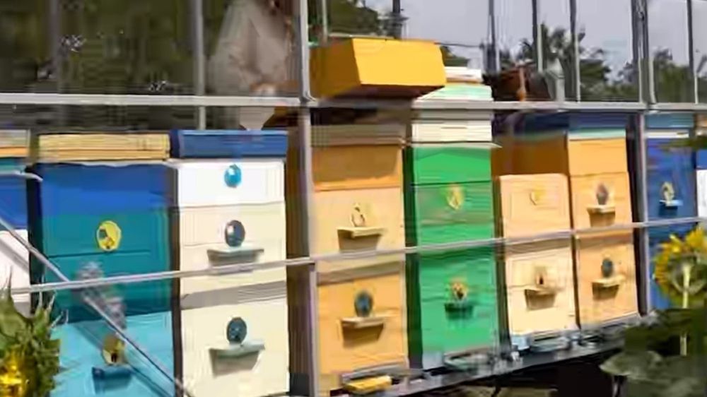 ������� ����: �� ���������� ������� 1500 ��������� ����