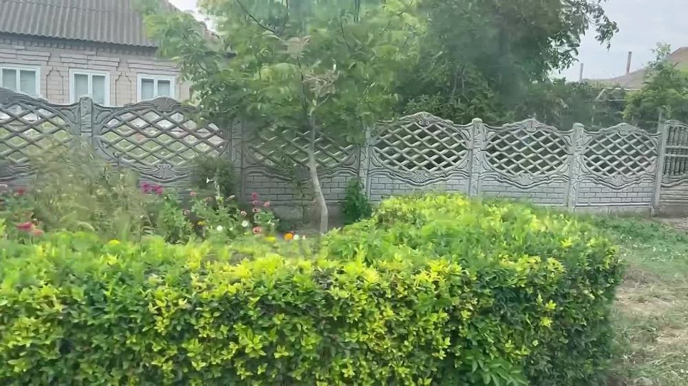 ���������� ������������ ����� � ���������� �������� ���������� ������ ������������� ������ � 95-������