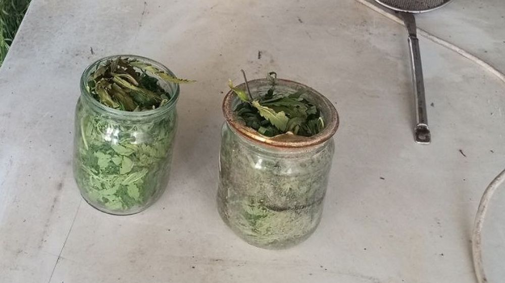 ������ ���������� ������� ������ ��� ���� ������ �� �������� 10 ����� ���������