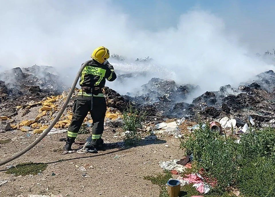 � ���������� ������� 14 ������� ��������� ���. ������ �� 14 ������� � ���������� ������� ���� ������������� ������ �������, �������� � �����-������ �������� ���������� ��� �� �������