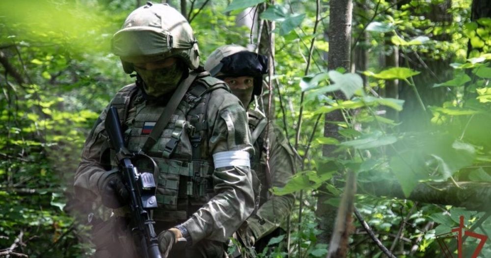 35 ������, �������� ��� �Krab�: � ���������� �������� ������ ��� �� ����� �� ���������� �����������