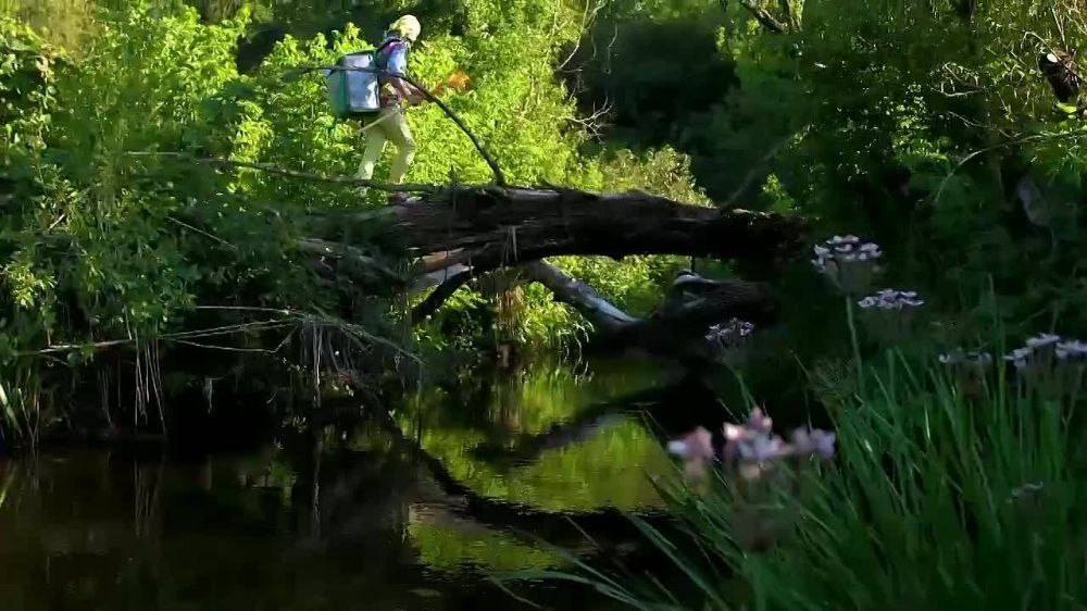 ��� �������� ����������. ������-������ ������ ���������� �������� � �������� �������, ��� ��� � ���� �����