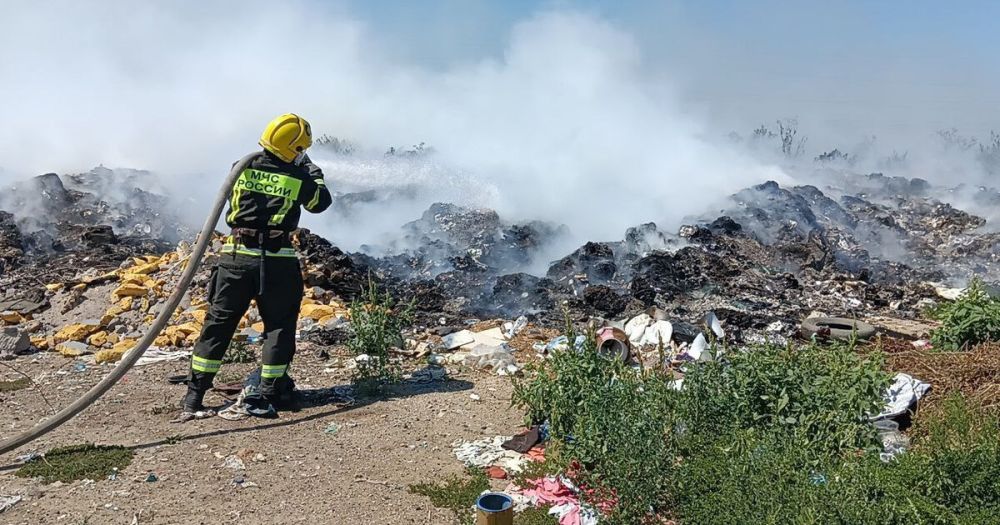 733 ������ ���� ���������������� �� ���������� ���������� � ������ 2023 ����