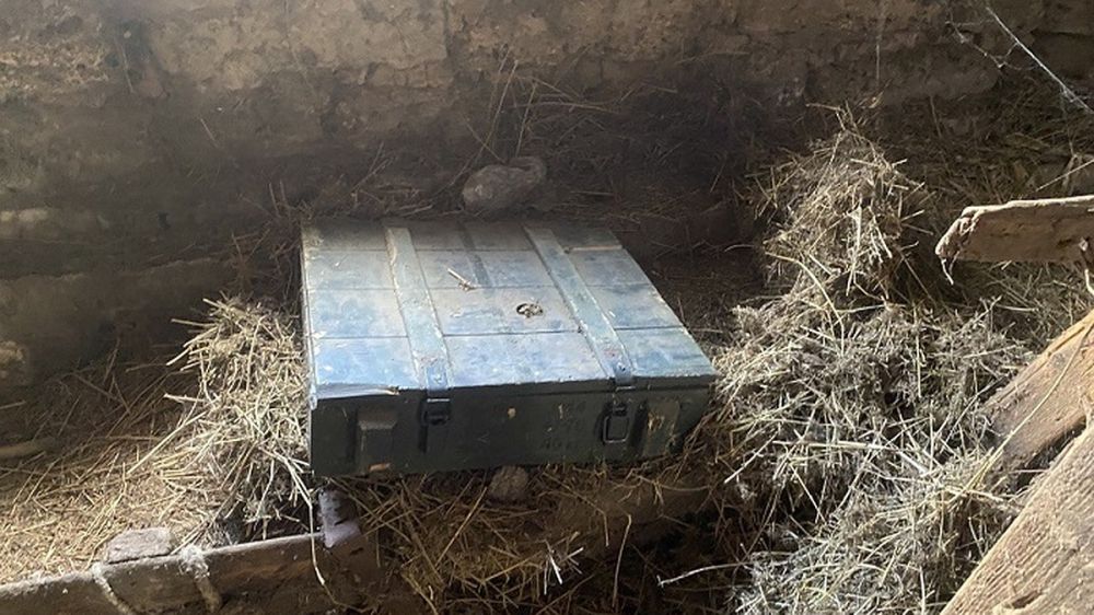 �� ���������� ���������� 49 �����������, ��������� ������� �������