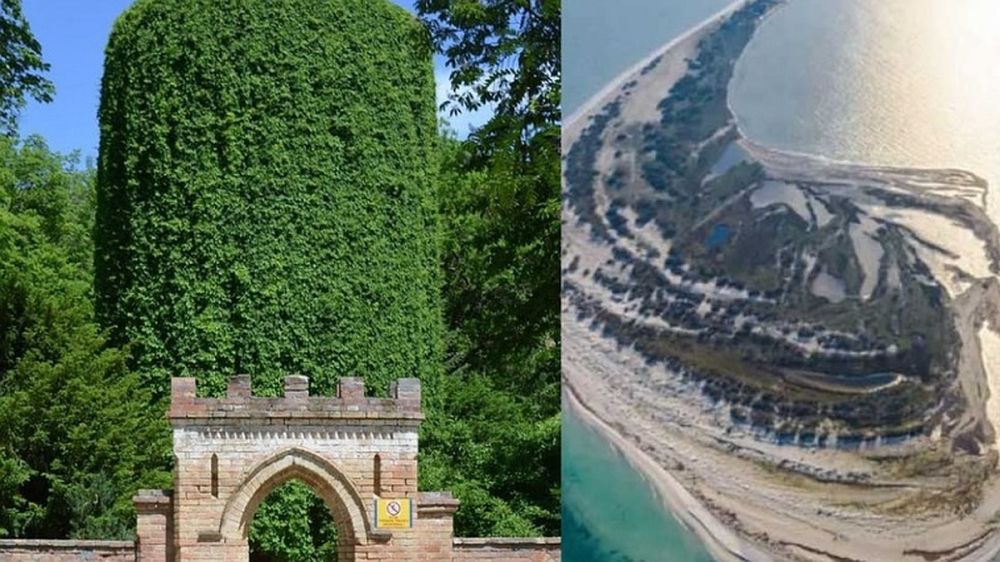 ���������� �������-���� � ���� �������������� ������� �� �������� ��������