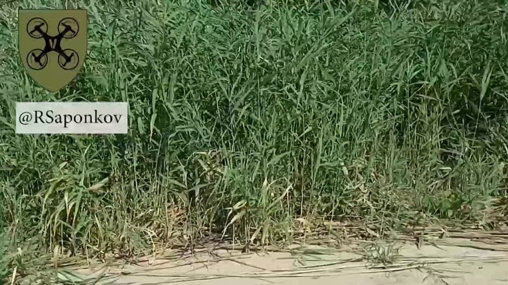 � ���� ��������� ����� � ���������� �������������