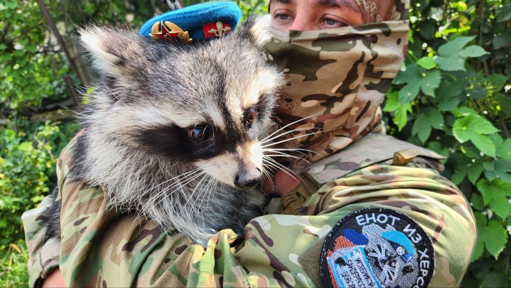 ���� �� �������: ������� ���� � �������� ���, ������!