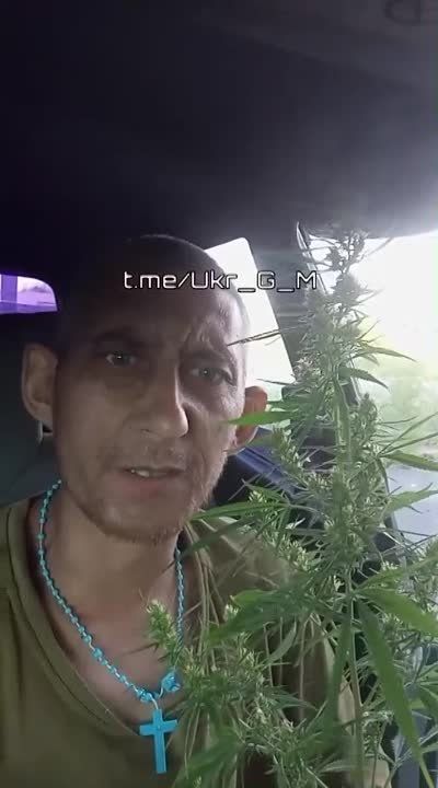 �������� � ����. �� ��������� ����������� ����������� ��������� �� �������, ����� ��� ��� ������ ������� �� ������� �� ���������� �����: