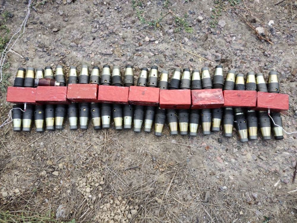 � ���������� ������� ���������� 49 �����������, ������� ����������� ����� ������� ������� ������