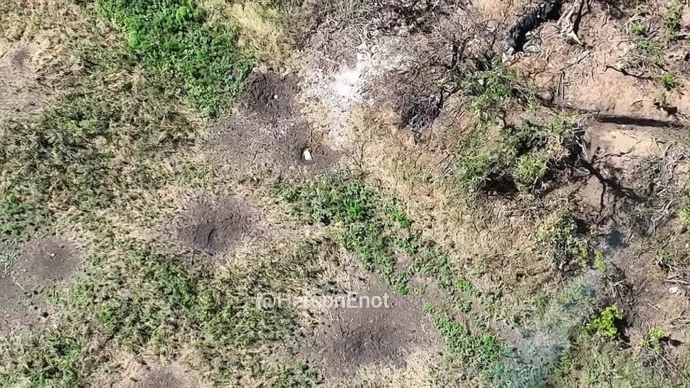 ���� �� �������: ���� ������ � ������������ ���������� ���������� �������� �� �������