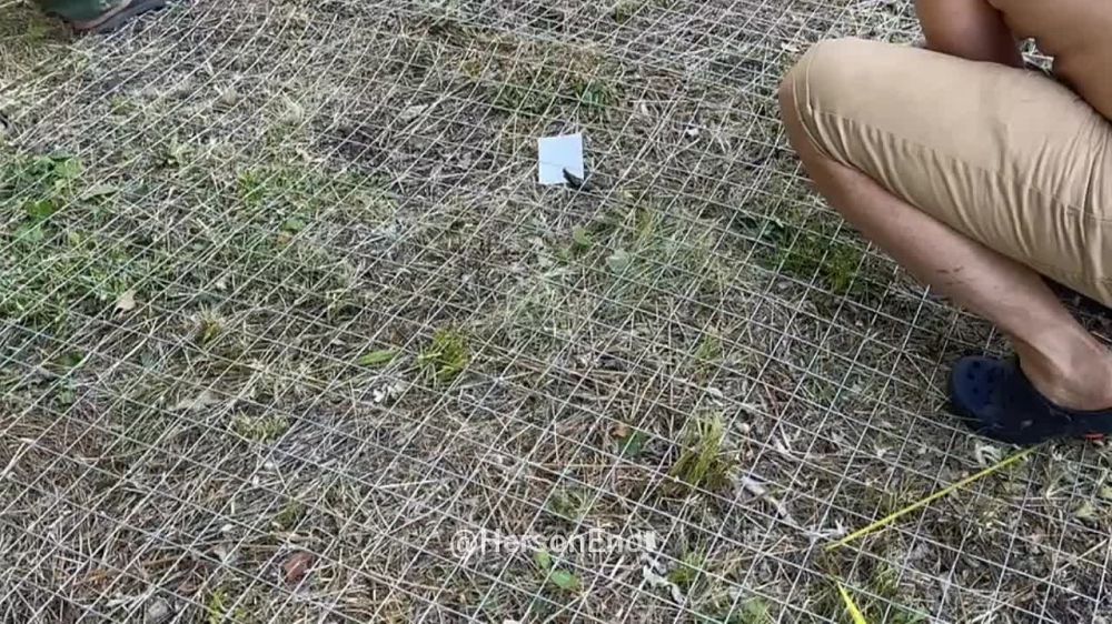 ���� �� �������: �� ���, ������! ��� � ������� ��� ������� ������, ��� ����� ���!