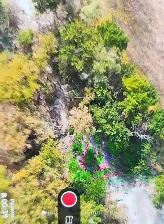 �-� �������� �������, ��� ��� �������� ��������� �� ����������� ��� � ������