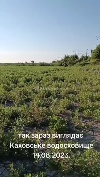 ��� ������� �������, ���������� ������ ���������� ����� ����� ������������