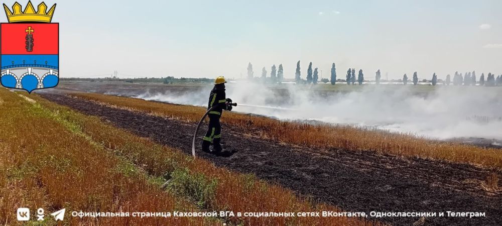 ��������������� �������-������������ ����� ������� �����������