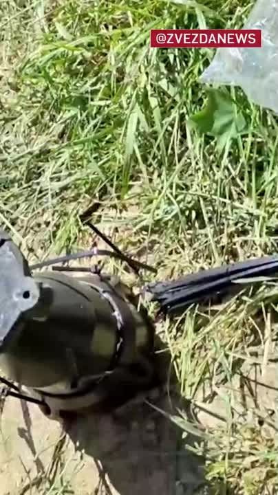 ��� �������� FPV-����� � ���������� �������������� ��� ������ � ���������� ����������, ������� � ���� ���� � ���������� ��� � �������� �������