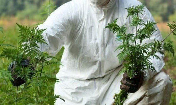 � ���������� ������� ������� ������ �� ����������� ������������ ��������