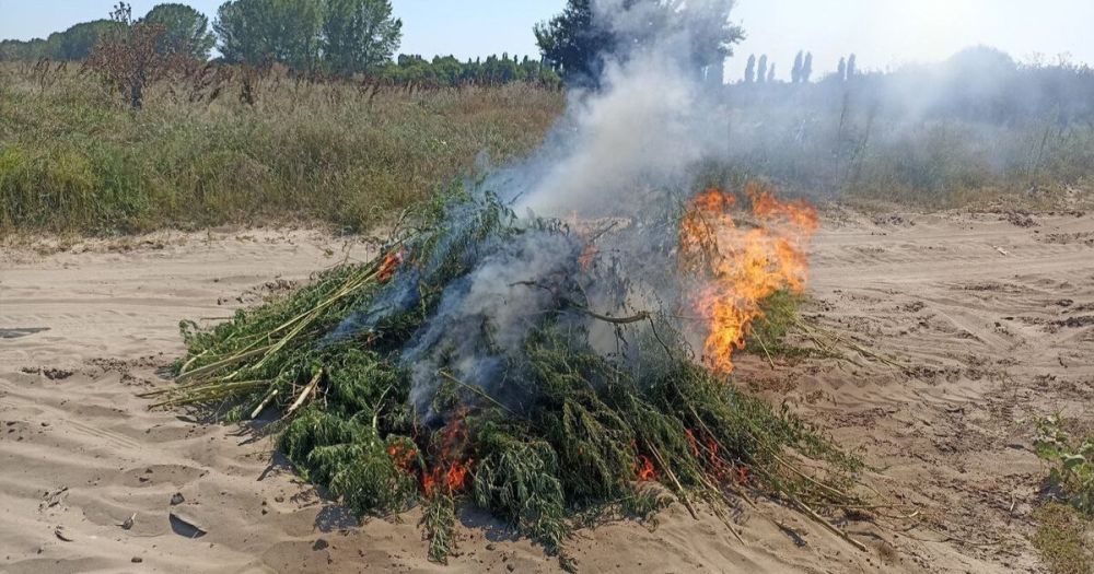 ������ ������������ ������� ���������� � ����������� ������