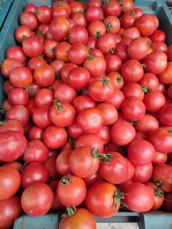 � ���������� ������ ������ �������