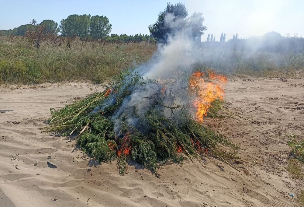 ������� ���������� ������� ���������� 300 ������ ������������ �������