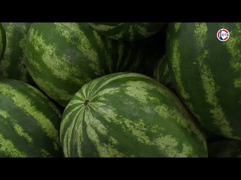 ������� ����� ������ � ���� � �����������?