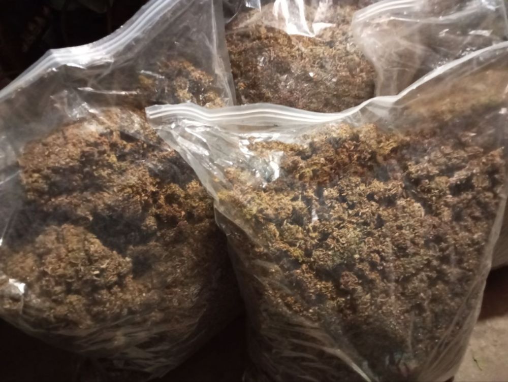 � ���������� ������� ������� ������ � ������ ������������ ������ ����� 20 �� ���������