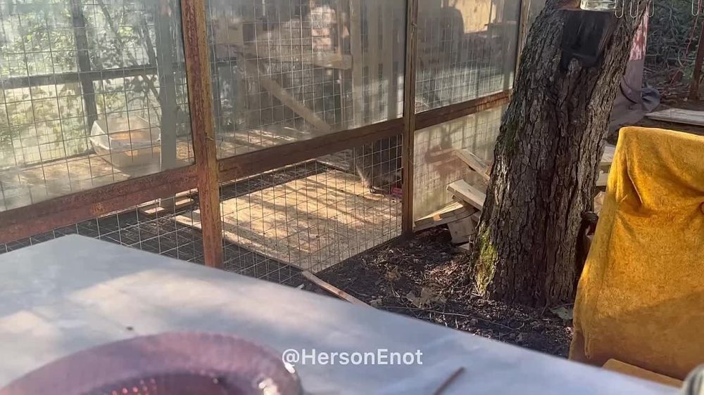 ���� �� �������: ������ ���� ������, � �������� ���