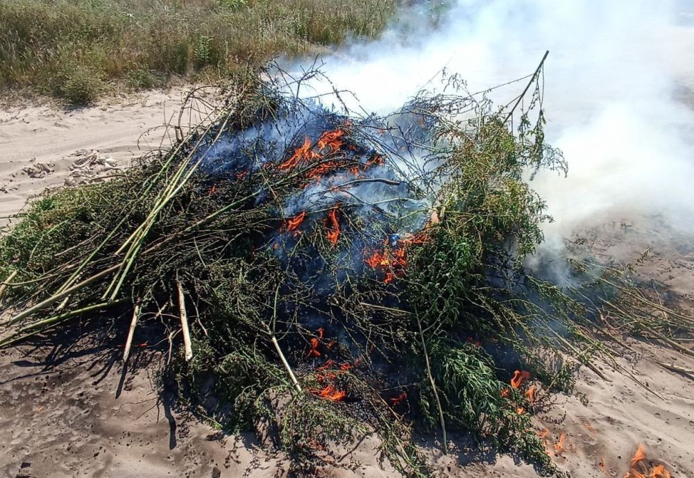 � ���������� ������� ������� ���������� 300 ������ ������������ �������