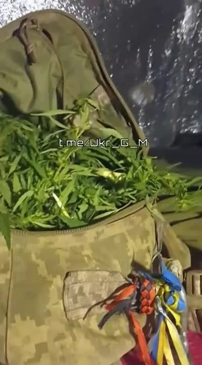 �������� � ����. ��� ���� �������� ������ "�����-��������". �� ��������� ����������� ����������� ��������� �� �������, ����� ��� ��� ������ ������� �� �������