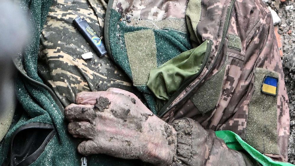 ���������� ����������� "�����" ���������� �� ����� ����� 30 �������� ���