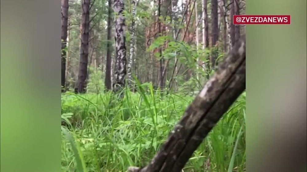 ����� ���������� ������, ������������� ������ ������� ����� � ������������ ����