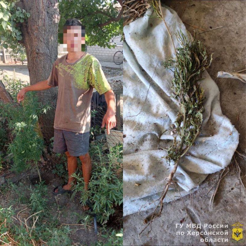 ��������������� ������ ����� ����� ������� � ���� ������� ��������������