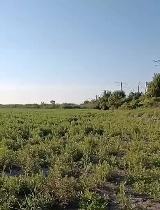 � ��� ��� ������ �������� ������ ��������� �������������