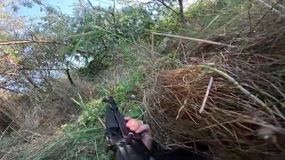 ����������������, ����� �������� �������� ��������� �� ���������