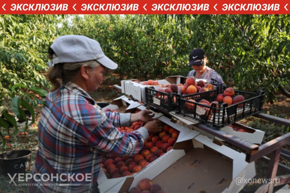 ������� ����������� �������������� ������ ������ ���� ������ ��������, �������� ����