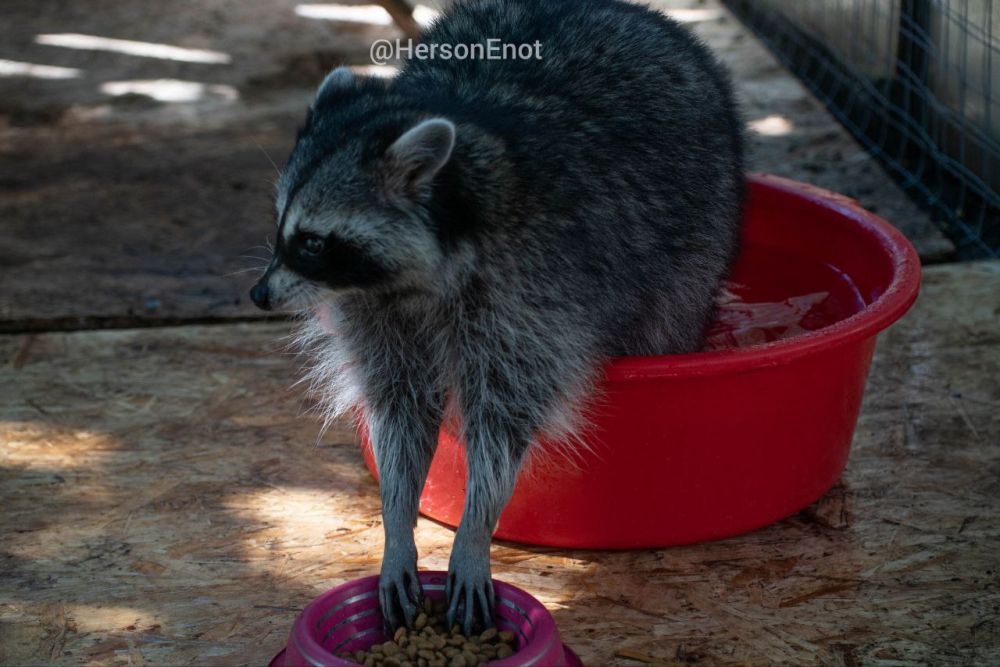 ���� �� �������: ������ ���� � �������� ���, ������!